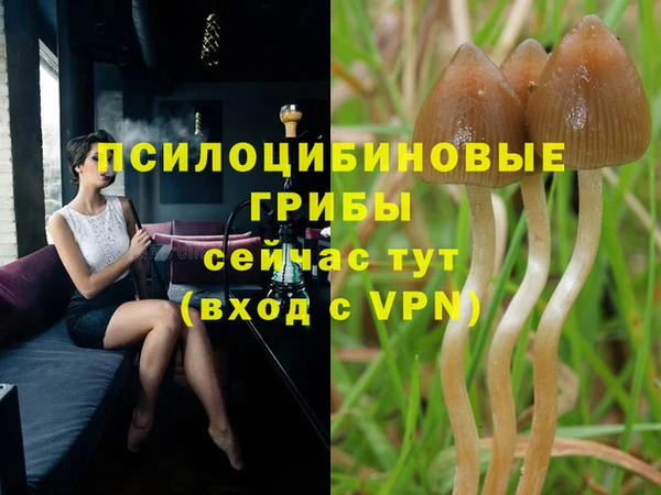 кокс Осташков