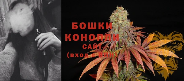 кокс Осташков