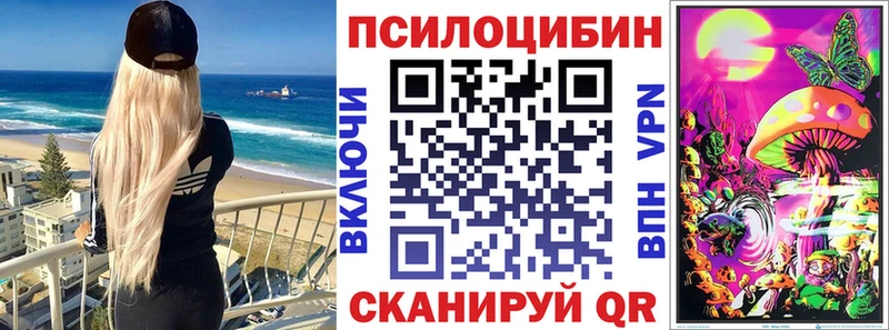Псилоцибиновые грибы Cubensis  blacksprut сайт  Калтан 